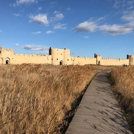Sailboat For Sea Ride Or Instructor Class ル・グロー・デュ・ロワ