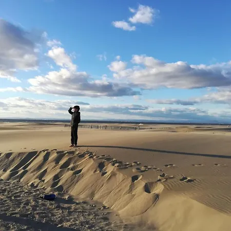 Sailboat For Sea Ride Or Instructor Class Botel *